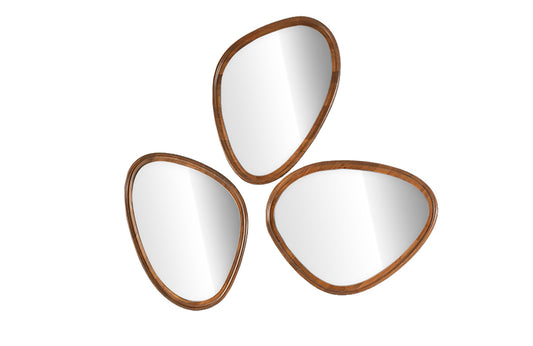 Newton Mirror Set